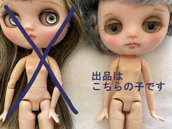 アイシードールです★銀髪(ミディブライスのサイズ)/作家様 /カスタムアイシードール