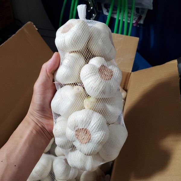 令和7年度 青森県産 生にんにく Lサイズ1kg