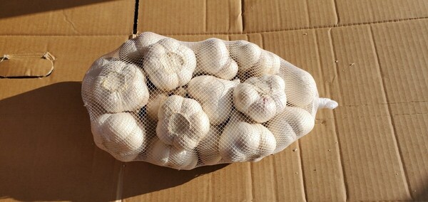 令和6年度 青森県産 Msize にんにく 1kg にんにく福地ホワイト六片