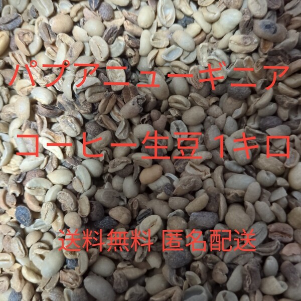 コーヒー生豆 1kg 1キロ 1000g 生豆 爆安 訳アリ パプアニューギニア アラビカ種 未焙煎 練習 勉強 珈琲 父の日 ディスプレイ トレーニング