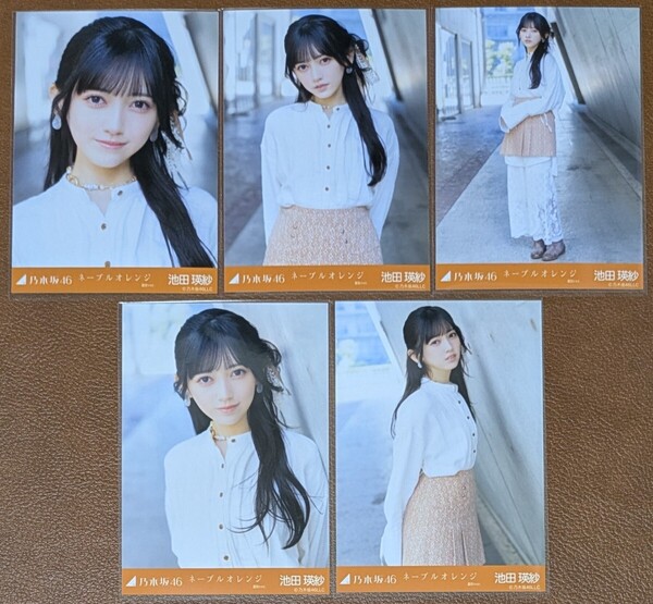 乃木坂46 池田瑛紗 ネーブルオレンジ 選抜ver. Web限定 生写真 個別 5種コンプ