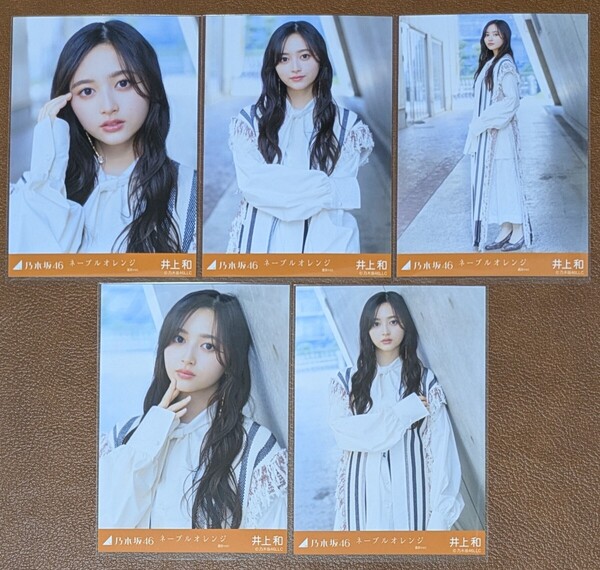 乃木坂46 井上和 ネーブルオレンジ 選抜ver. Web限定 生写真 個別 5種コンプ
