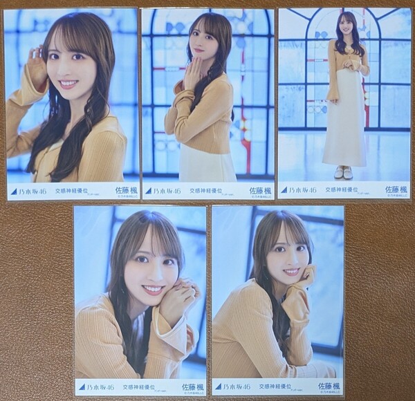 乃木坂46 佐藤楓 交感神経優位 アンダーver. Web限定 生写真 個別 5種コンプ