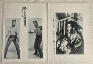 ★超激レア★ Elvis Presley Fan Club of Japan/ エルヴィス プレスリー 日本公式ファンクラブ限定パンフレット1965年 2冊セット