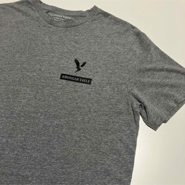 アメリカンイーグル プリントTシャツ メンズ レディース Lサイズ