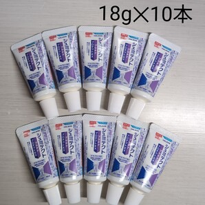シュミテクト プラチナプロテクトEX 18g10本【送料無料・匿名配送】