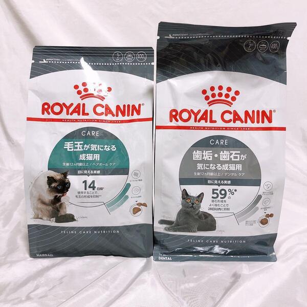 猫まっしぐら ロイヤルカナン 猫 毛玉ヘアボールケア と デンタルケア 400g 1袋ずつ #鍵しっぽネコの森キャットフード