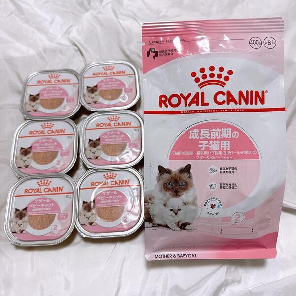 猫まっしぐら 子猫お迎えセット 猫 成長前期 ドライ1袋 パウチムース6個 ロイヤルカナン #鍵しっぽネコの森キャットフード