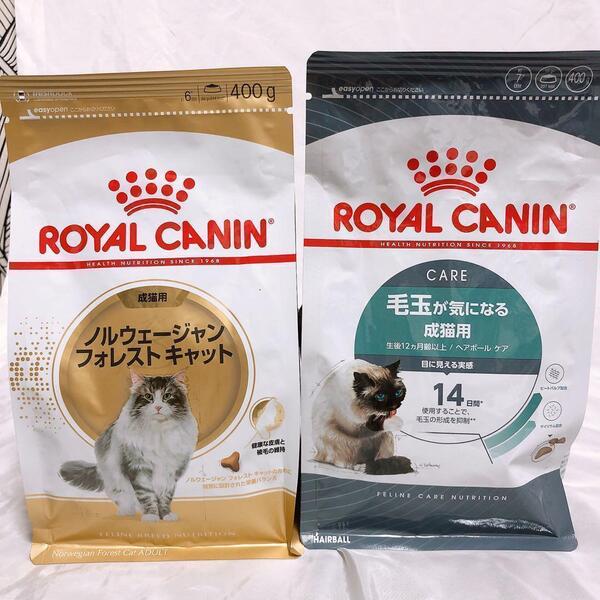 猫まっしぐら ロイヤルカナン 猫 毛玉気になるヘアボールケア と ノルウェージャン 1袋ずつ #鍵しっぽネコの森キャットフード