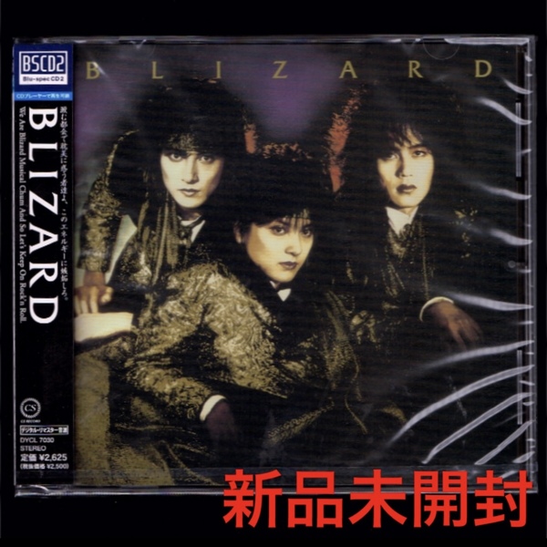 【匿名送料無料】即決新品 ブリザード BLIZARD/BSCD2/稲葉浩志