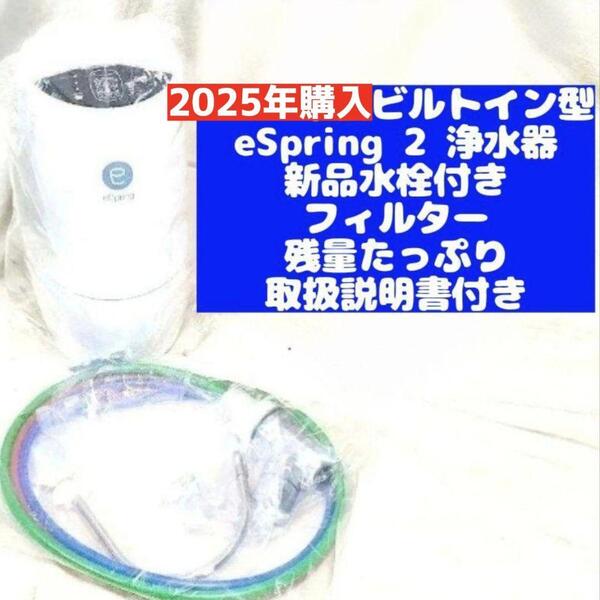 アムウェイ 新品水栓付き 2024年製ビルトイン型 eSpring 2 浄水器@
