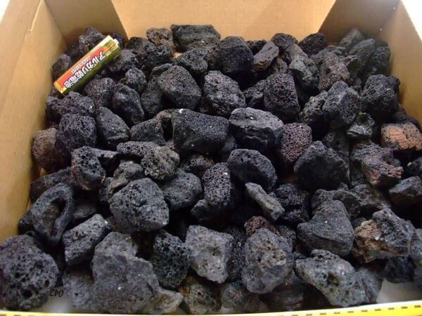 【送料無料】 黒溶岩石 S~SSサイズ 約1000g 素材 アクアリウム テラリウム 盆栽 レイアウト 観葉植物 ロックガーデン 多肉植物