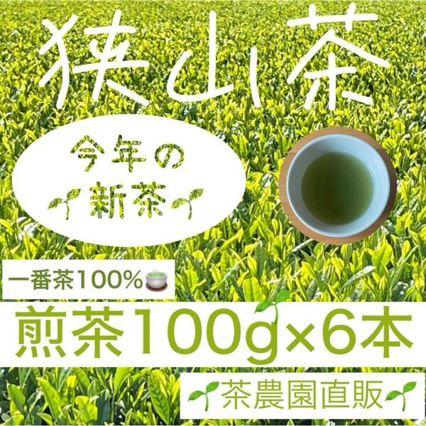 【新茶】☆狭山茶☆茶畑直販☆煎茶6本(令7年産)一番茶100%☆深蒸し茶 緑茶 日本茶 お茶 お茶の葉 茶葉 本年度産 2025