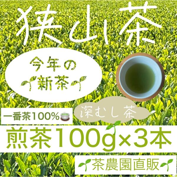 【新茶】☆狭山茶☆茶畑直販☆煎茶3本(令7年産)一番茶100%☆深蒸し茶 緑茶 日本茶 お茶 お茶の葉 茶葉 本年度産 2025