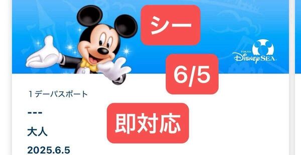 即対応★2025年6月5日☆東京ディズニーシー☆グッズ購入用 チケット☆ディズニー☆Disney☆グッズ購入☆