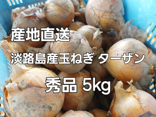 産地直送 淡路島産玉ねぎ ターザン 正規品 5kg