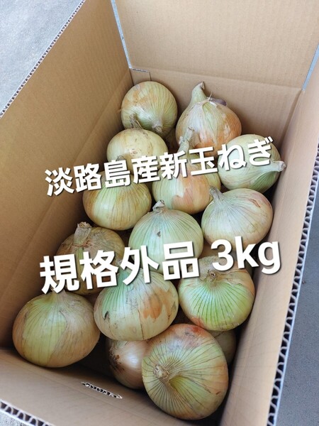 産地直送 淡路島産新玉ねぎ 七宝 規格外品 3kg