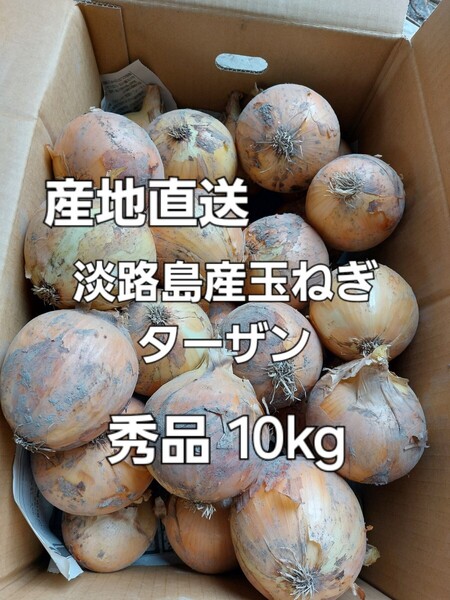 産地直送 淡路島産玉ねぎ ターザン 秀品 10kg