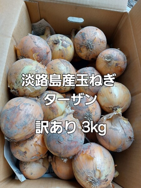 産地直送 淡路島産玉ねぎ ターザン 訳あり 3kg