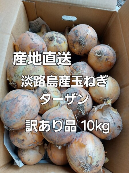 産地直送 淡路島産玉ねぎ ターザン 規格外品 10kg