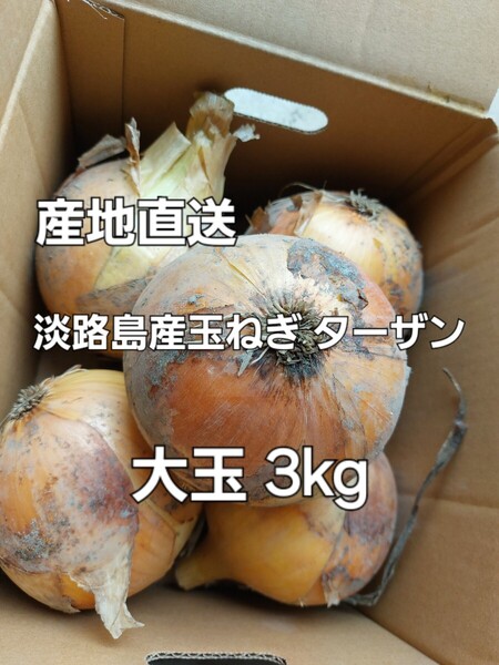 産地直送 淡路島産玉ねぎ ターザン 大玉 秀品 3kg