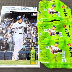 ■送料無料!非売品!大谷翔平 選手 MLB クリアファイル A4サイズ おーいお茶 伊藤園 ペットボトル ラベル shohei otani■
