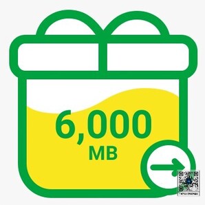 ⑪ mineo マイネオ パケットギフト 6000MB