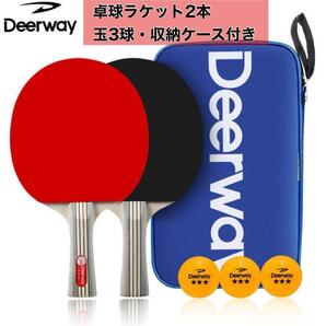 卓球 ラケット 初心者 中級者 2本セット ボール付き 収納袋 練習用 ケース付