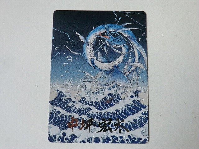 ◆Mtgイラストレーションカード650枚セット/サイン入りカード20枚以上 Yahoo!オークション -「サイン」(Magic: The Gathering