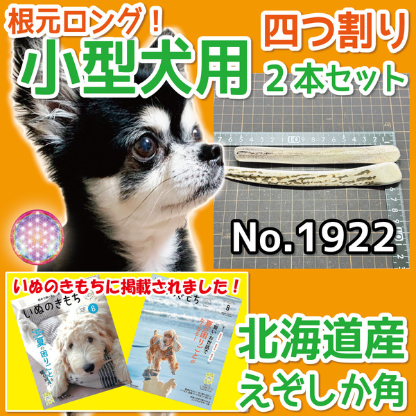 ■ 小型犬用 ■ 根元部分 四半割りロング 2本セット ■ 天然 北海道産 蝦夷鹿の角 ■犬のおもちゃ■ 無添加 エゾシカ ツノ 鹿の角 犬 19221