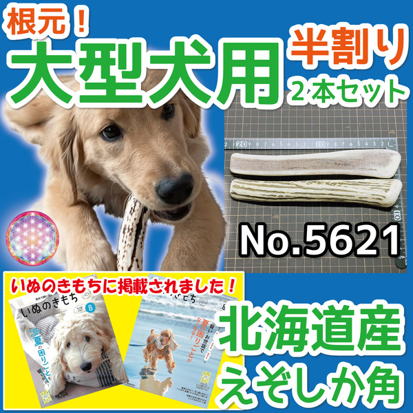 ■ 大型犬用 ■ 根元部分 半割り 2本セット ■ 天然 北海道産 蝦夷鹿の角 ■ 犬のおもちゃ ■ 無添加 エゾシカ ツノ 鹿の角 犬 56212