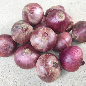 自然栽培 赤たまねぎ(1kg)★愛知県産★無肥料・無農薬★渥美半島よりで「自然とともに」をテーマに究極の自然栽培農法で作りました♪