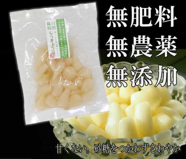 らっきょう漬け (70g) ★無肥料無農薬の自然栽培らっきょうを漬け込みました★無添加無化学調味料★甘くない、砂糖を使わずさわやか♪