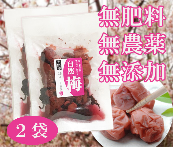 梅漬 200g(100gX2袋)★無肥料・無農薬の自然栽培★無添加・無化学調味料・無着色・砂糖不使用★土用干しをしない優しさがあります♪