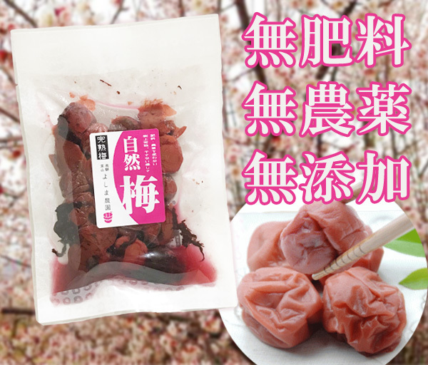 梅漬(100g)★無肥料・無農薬の自然栽培完熟梅を使用★無添加・無化学調味料・無着色・砂糖不使用★土用干しをしない優しさがあります♪