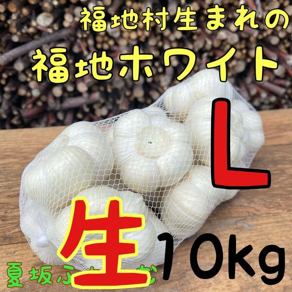 福地ホワイト発祥の地 福地村産 元祖福地ホワイト L 10kg 青森県産 生にんにく 令和7年産 初物 農家直送 夏坂ふぁーむ 低農薬