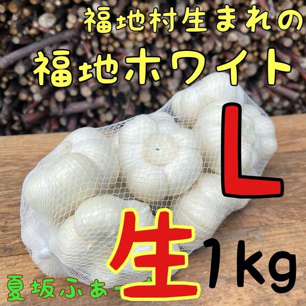 福地ホワイト発祥の地 福地村産 元祖福地ホワイト L 1kg 青森県産 生にんにく 令和7年産 初物 農家直送 夏坂ふぁーむ 低農薬