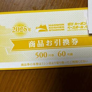 阪神甲子園球場 商品お引換券 ¥500×60枚 2冊セット