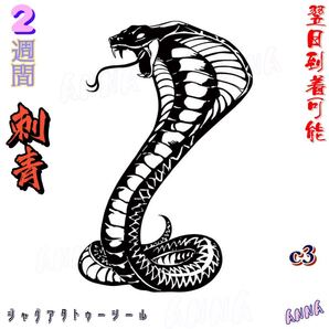 c3 蛇 2週間で消える ヘナタトゥー ジャグアタトゥーシール タトゥーシール ティントタトゥーシール ボディーアートシール