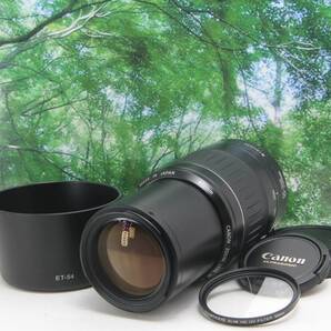 ☆もっと遠くへ☆Canon EF 55-200mm F1:4-5.6 Ⅱ♪新品レンズフード&フィルター☆