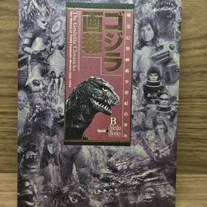ゴジラ画報 東宝幻想映画半世紀の歩み イオン