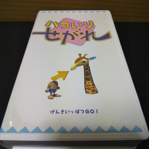 VHS ハコいりせがれ 秋元きつね 中古品 せがれいじり
