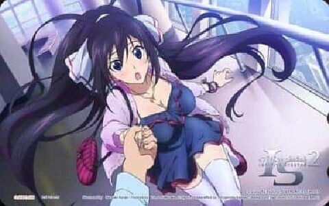 2025年最新】Yahoo!オークション -篠ノ之箒の中古品・新品・未