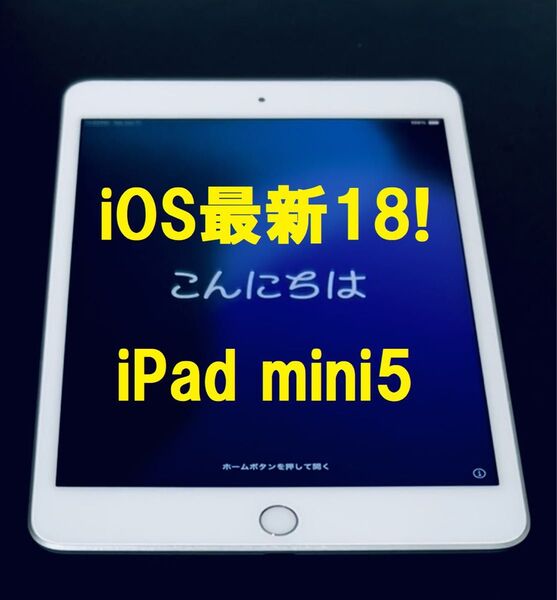 ◆ ios最新18! iPad mini 5 64GB アップルIPAD mini 第5世代 iPad iPad タブレット