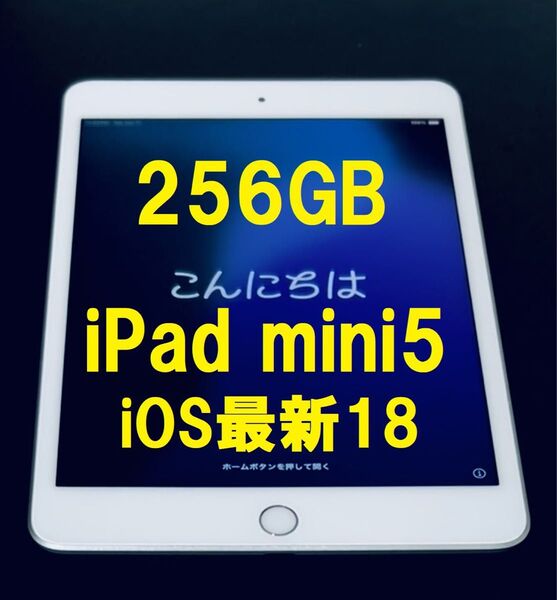 ◆ 256GB iPad mini 5 アップルIPAD MINI 第5世代 iPad タブレット アイパッド