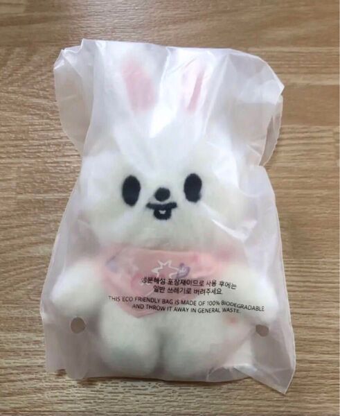 skzoo 10cm 公式 straykids 5clock
