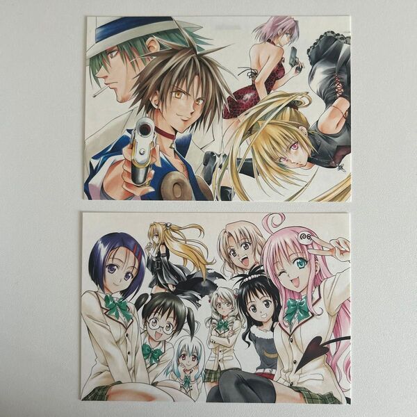 ジャンプ展 50周年 ポストカード ToLOVEるダークネス ブラックキャット 矢吹健太朗 (希少)