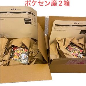 シャイニートレジャー ポケモンセンター産 2箱