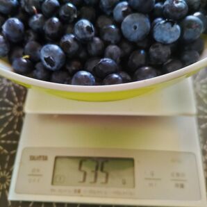 ブルーベリー 約500グラム