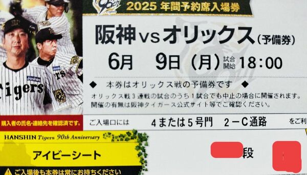 【予備券】6/9(月) 甲子園 阪神対オリックス アイビーシート1枚